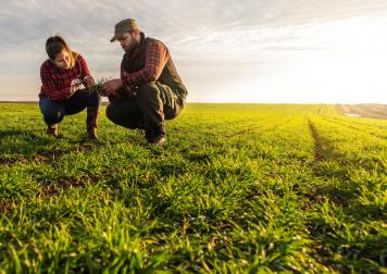 Two farmers kneeling in a field discussing how the crops are growing and what is needed to keep them healthy.